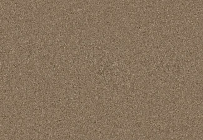 Anderson Tuftex Enduring Charm Latte — Anderson Tuftex