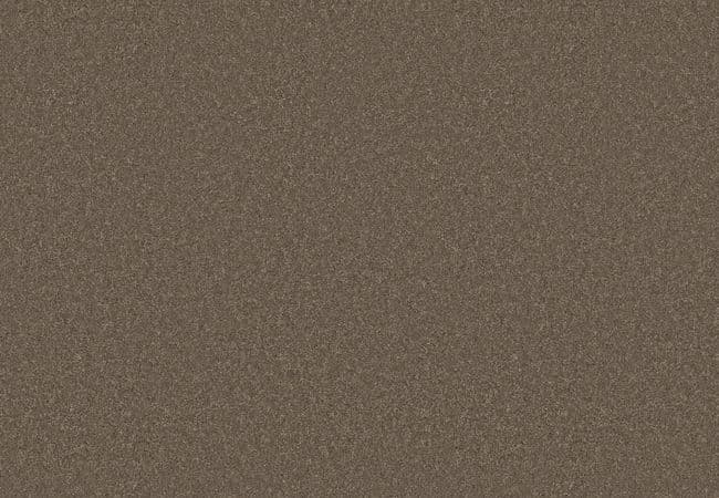 Anderson Tuftex Enduring Charm Moonbeam — Anderson Tuftex