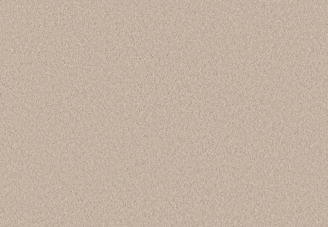Anderson Tuftex Enduring Charm Tapioca — Anderson Tuftex