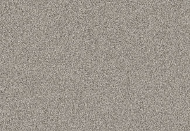 Anderson Tuftex Fabulous Moth Gray, Anderson Tuftex