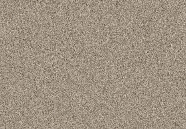 Anderson Tuftex Fabulous White Mocha — Anderson Tuftex