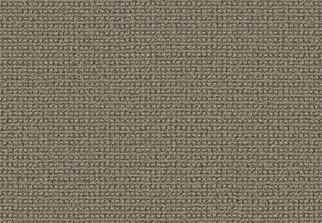Anderson Tuftex Fetch Desert Palm — Anderson Tuftex