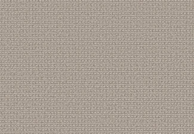 Anderson Tuftex Fetch Oyster Shell — Anderson Tuftex