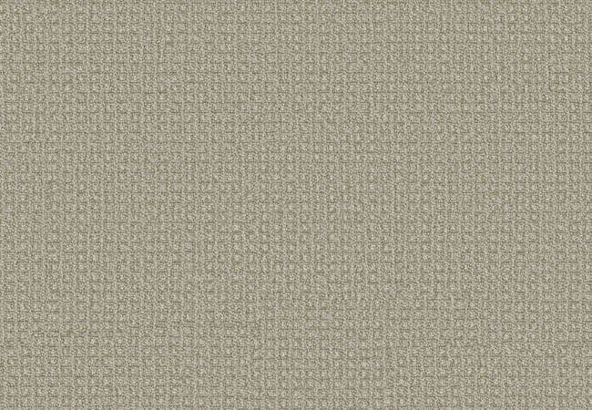 Anderson Tuftex Fetch Soft Fern, Anderson Tuftex