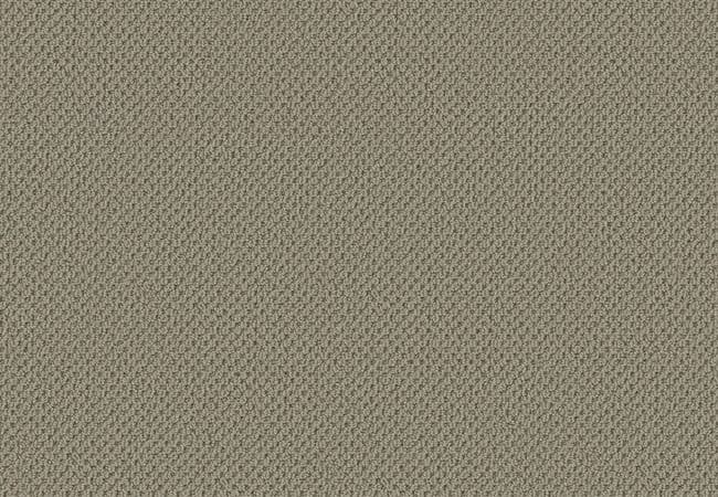 Anderson Tuftex Gracious Mocha, Anderson Tuftex