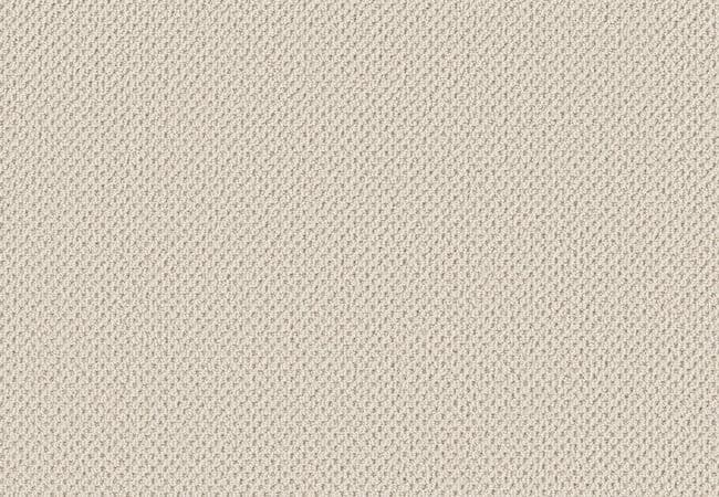 Anderson Tuftex Gracious Parchment — Anderson Tuftex