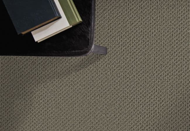 Anderson Tuftex Gracious flooring collection sample