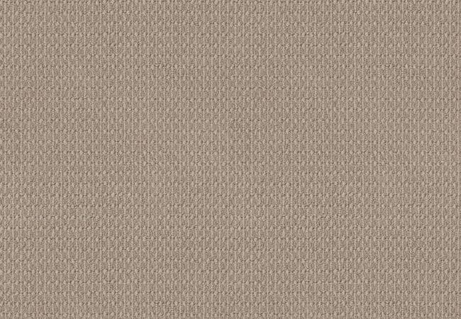 Anderson Tuftex Moondance Neutral Ground, Anderson Tuftex