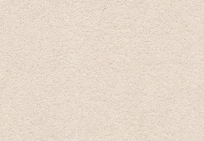 Anderson Tuftex Pawparazzi I Barely Beige, Anderson Tuftex