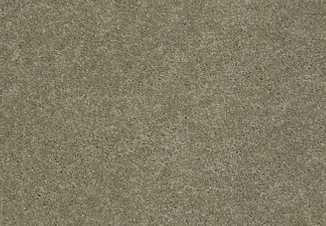 Anderson Tuftex Pawparazzi I Dry Sage, Anderson Tuftex