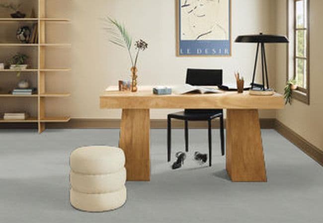 Anderson Tuftex Pawparazzi I Anderson Tuftex flooring collection sample