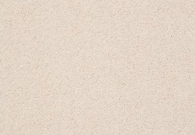 Anderson Tuftex Pawparazzi Ii Barely Beige, Anderson Tuftex
