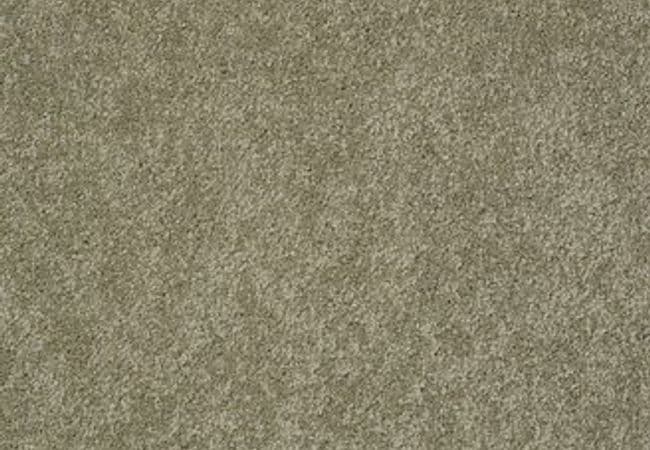Anderson Tuftex Pawparazzi Ii Dry Sage, Anderson Tuftex