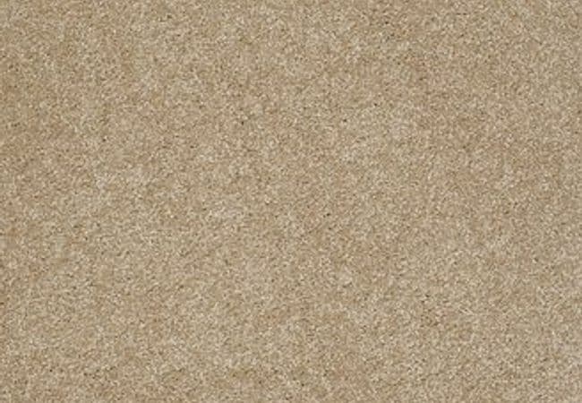 Anderson Tuftex Pawparazzi Ii Peanut Shell, Anderson Tuftex