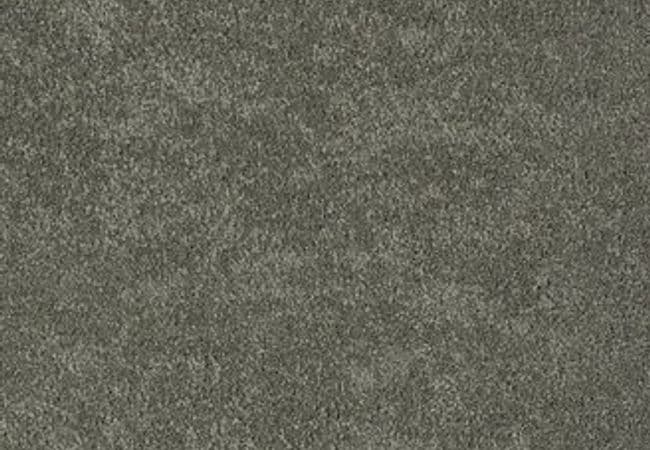 Anderson Tuftex Pawparazzi Ii Smoked Oyster, Anderson Tuftex