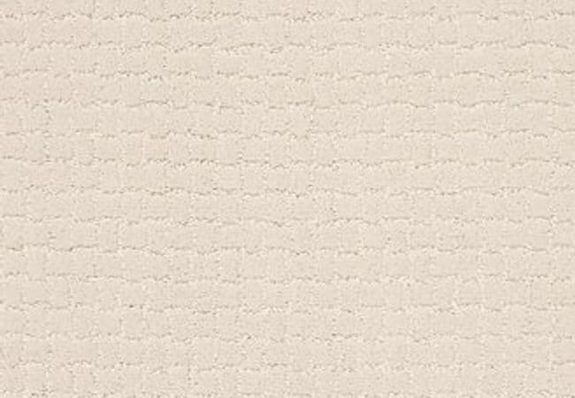 Anderson Tuftex Pawstruck Barely Beige, Anderson Tuftex