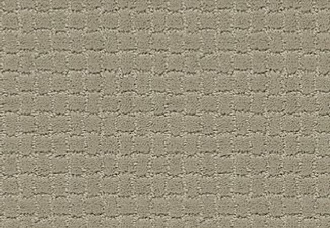 Anderson Tuftex Pawstruck Gray Mirage, Anderson Tuftex