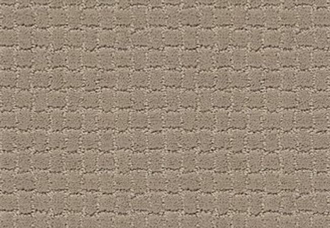Anderson Tuftex Pawstruck Mocha Cream, Anderson Tuftex