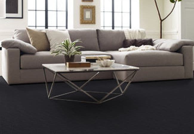 Anderson Tuftex Pawstruck flooring collection sample