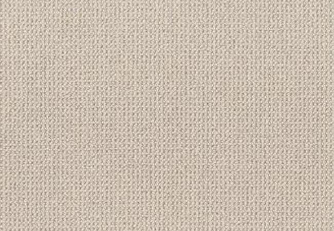 Anderson Tuftex Purrfection Mocha Cream, Anderson Tuftex