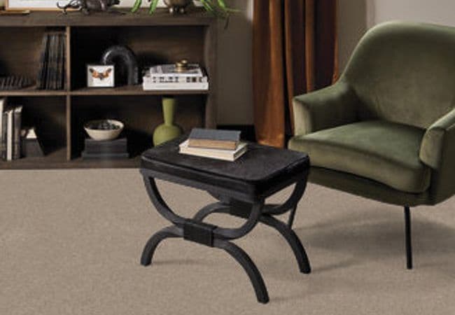 Anderson Tuftex Terra Nova flooring collection sample
