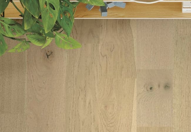 Anderson Tuftex Noble Hall flooring collection sample