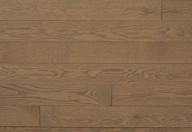 Appalachian Signature Red Oak Solid Excel Chardonnay - Semi Gloss - 4 1/4"x3/4"