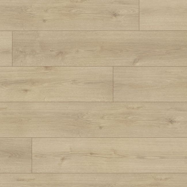 Beaulieu Conquest Barbarossa 1714 Laminate Flooring — Beaulieu