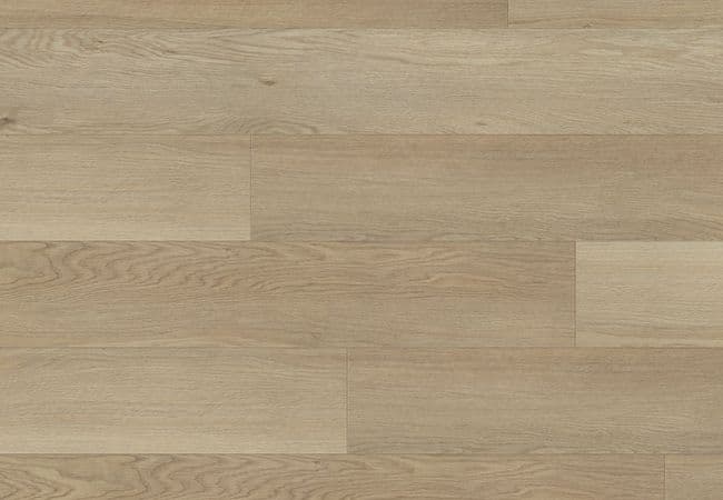 Beaulieu Tidal Nature Hopedale Luxury Vinyl Plank, Beaulieu