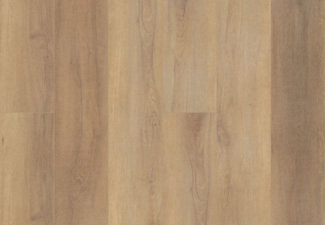 Coretec Pro Plus Enhanced HD Canterbury Elm Luxury Vinyl Plank, COREtec Floors