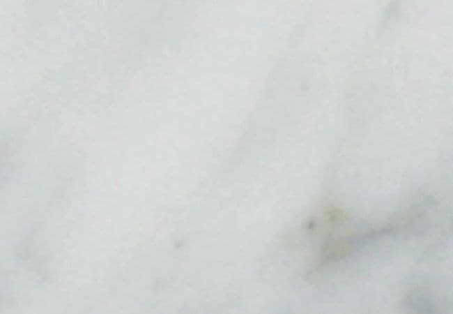 Ceratec Tile Monolithe Carrara — Ceratec Tiles