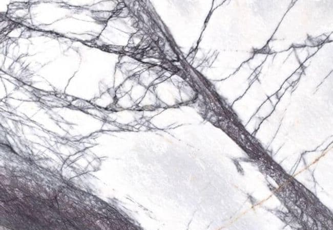Ciot Tile 24''x24'' Grey Lilac Extra On Porcelain Support Polished — Ciot Tiles