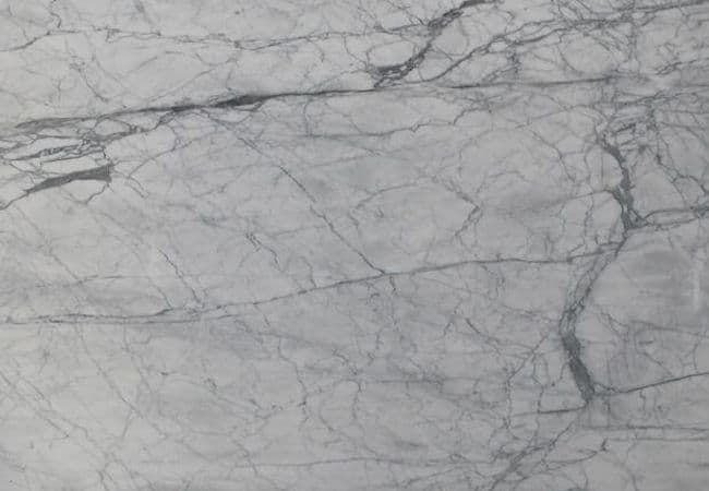 Ciot Tile Bianco Venatino Honed 24''x24'' — Ciot Tiles