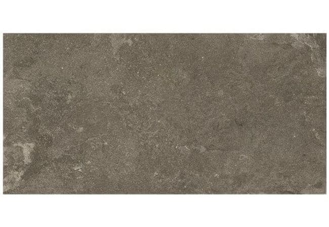 Ciot Tile Lunar Uniform Rt 24X48, Ciot Tiles