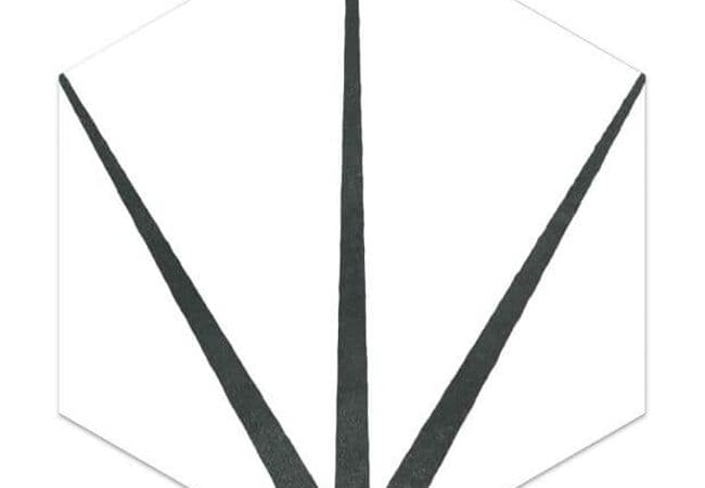 Ciot Tile Starline Hexagon White Nat. 10X12 — Ciot Tiles
