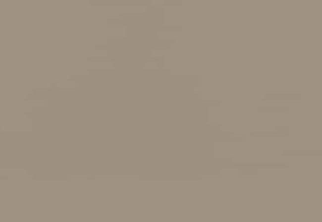 Daltile Flat Brick, Daltile