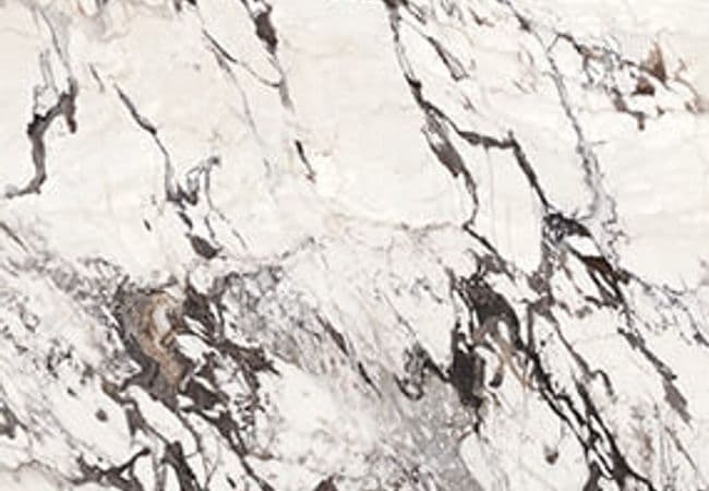 Daltile Elemental Selection Calacatta Aries, Daltile