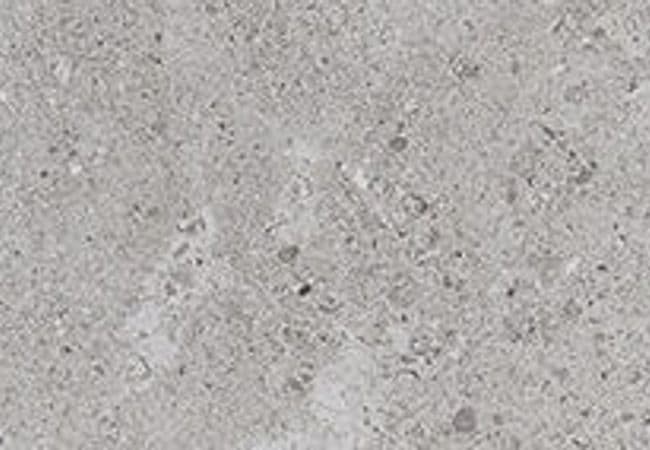 Daltile Dignitary Eminance Grey, Daltile