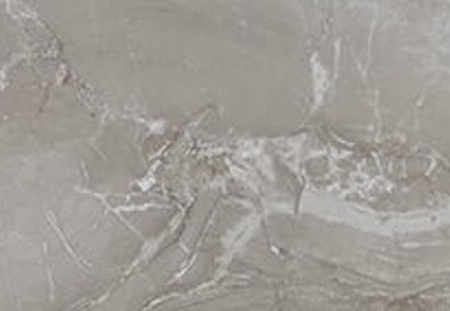 Daltile Famed Fortune, Daltile