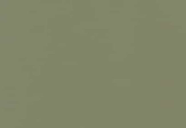Daltile Color Wheel Classic Garden Spot, Daltile