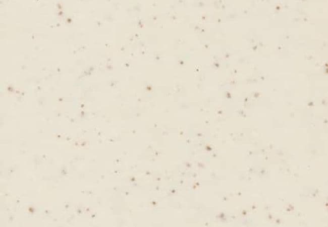 Daltile Keystones Golden Granite, Daltile
