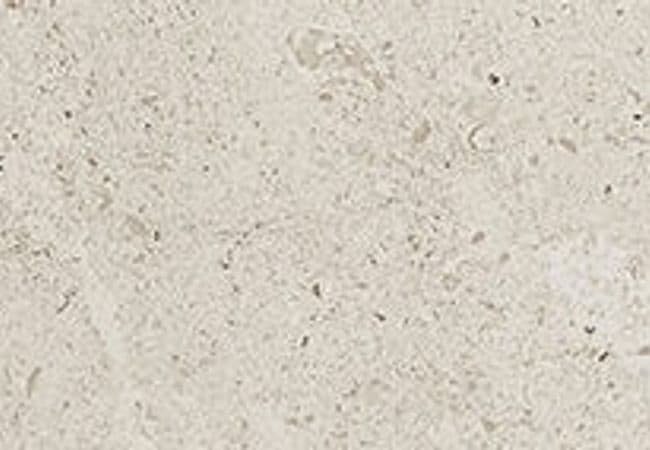 Daltile Dignitary Luminary White, Daltile