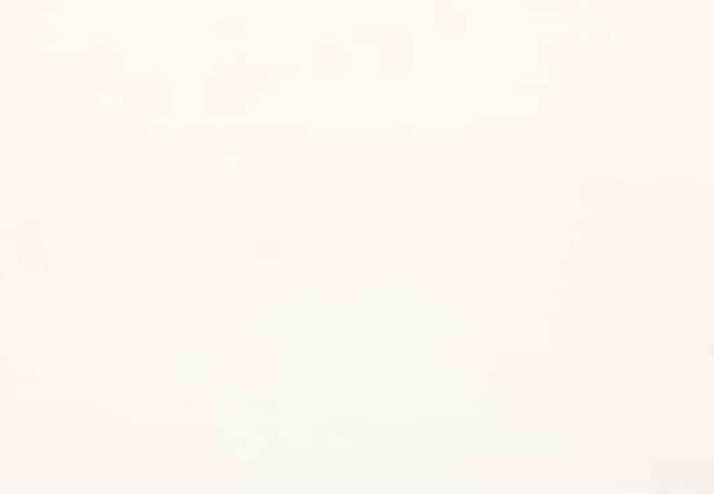 Daltile ONE Quartz Monochromatic Look Morning Frost, Daltile