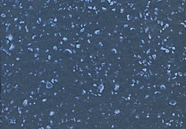 Daltile Keystones Navy Speckle, Daltile