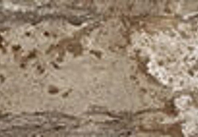 Daltile Season Wood Orchard Grey, Daltile