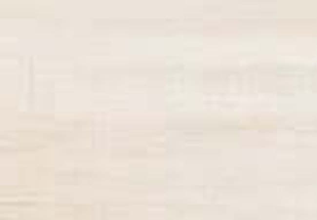 Daltile Transio Prevail, Daltile