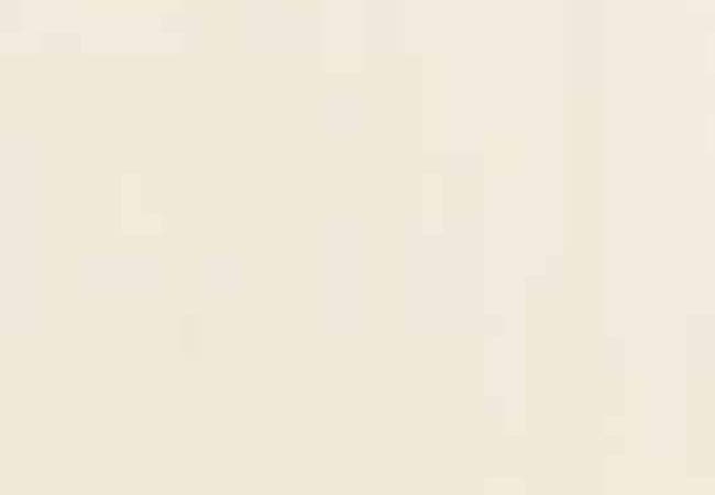 Daltile Formula Theorem Ivory, Daltile
