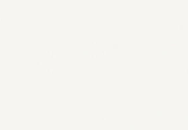 Daltile Vitruvian White Matte, Daltile