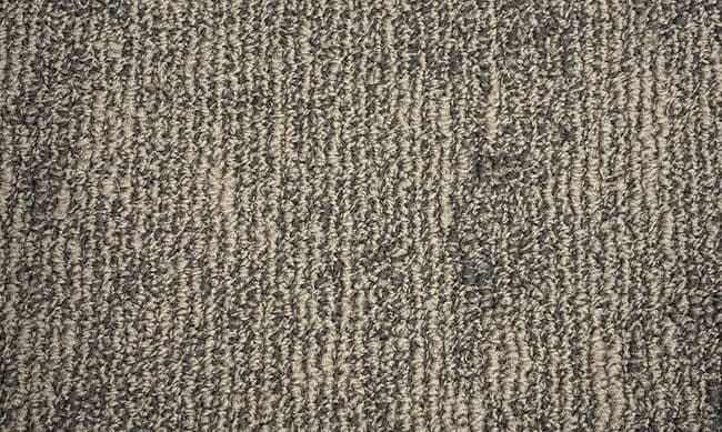 Fuzion Flooring Warsaw Carpet Tile Nylon Rustico