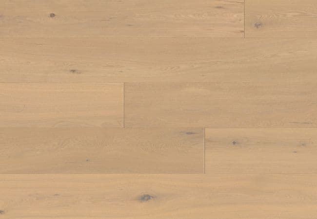 Fuzion Expressions Oak Demeanor — Fuzion Flooring